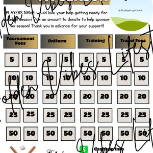 Baseball Sponsor My Season Flyer: Editable Canva Template (Digital Download)