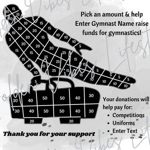 Male Gymnast Fundraiser Flyer: Editable Canva Template (Digital Download)