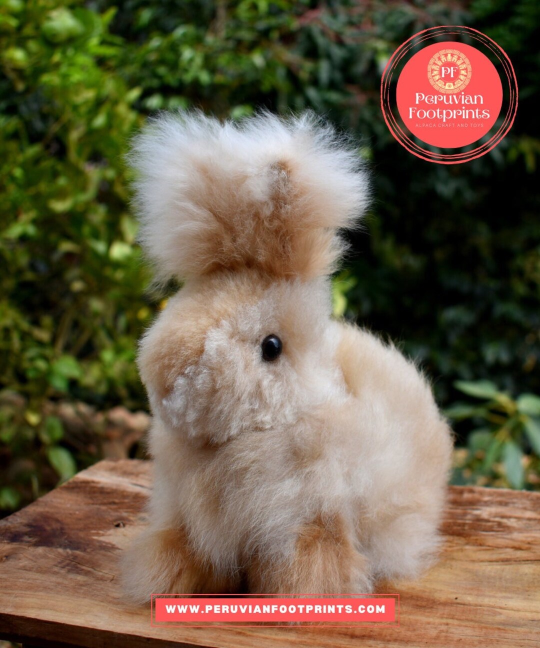 Beautiful Rabbit Handmade, Handmade 100% Baby Alpaca, Rabbit sponge ...