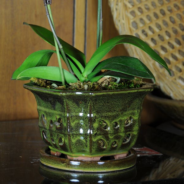 Handmade Square Ceramic Orchid Pot With Attached Saucer and Drainage Hole, Glazed Pottery, Ceramic Planter| Gift