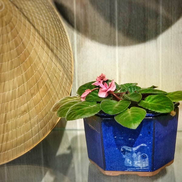 Self Watering Hexagon Shape Ceramic Pot, African Violet Pot, Succulent Pot, Glazed Pottery, Beehive, Multi Color, Ceramic planter, Laid back