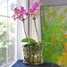 see more listings in the Orchid Planter section