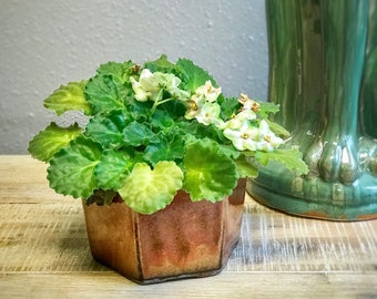 Self Watering Hexagon Shape Ceramic Pot, African Violet Pot, Succulent Pot, Glazed Pottery, Beehive, Multi Color, Ceramic planter, Laid back