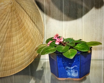 Self Watering Hexagon Shape Ceramic Pot, African Violet Pot, Succulent Pot, Glazed Pottery, Beehive, Multi Color, Ceramic planter, Laid back