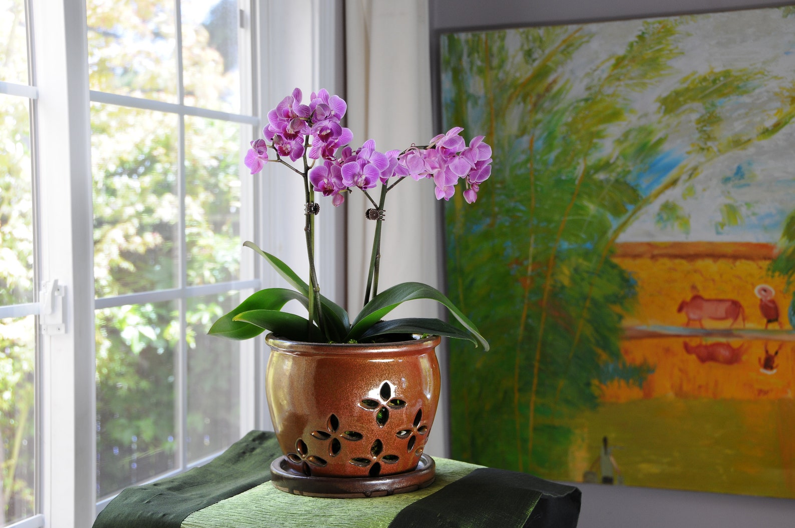 Hilo LARGE 7.0 Handmade Ceramic Orchid Pot With Attached Saucer, Orchid