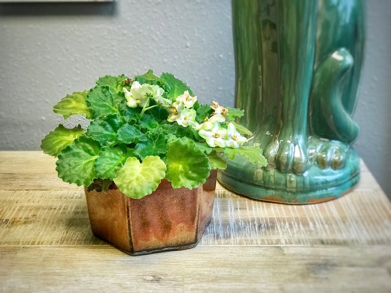 Self Watering Hexagon Shape Ceramic Pot, African Violet Pot, Succulent Pot, Glazed Pottery, Beehive, Multi Color, Ceramic planter, Laid back Copper