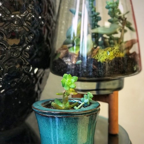 2.8" Self Watering Cup Shape Glazed Ceramic Pot, African Violet Pot, Succulent Pot, Glazed Pottery, Multi Color, Ceramic planter, Laid back