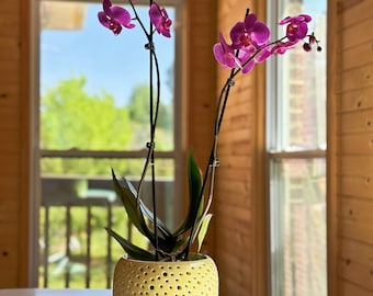 Handmade Modern Perforated Design Ceramic Orchid Pot With Attached Saucer and Drainage Hole, Glazed Pottery, Ceramic Planter, Gift