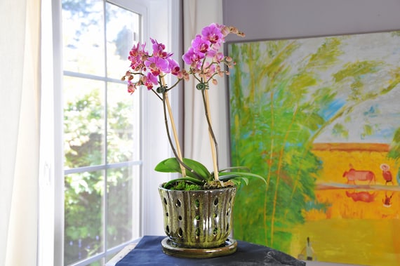Handmade Honolulu Ceramic Orchid Pot With Attached Saucer and Drainage Hole, Glazed Pottery, Ceramic Planter| Gift