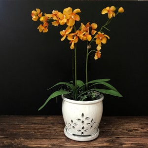 Hilo (LARGE 7.0") Handmade Ceramic Orchid Pot With Attached Saucer, Orchid Planter, Glazed Pottery | Gift