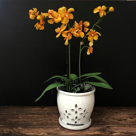 Hilo LARGE 7.0 Handmade Ceramic Orchid Pot With Attached Saucer