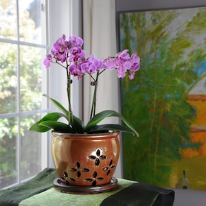 Hilo (MEDIUM 5.5") Handmade Ceramic Orchid Pot With Attached Saucer, Orchid Planter, Glazed Pottery | Gift