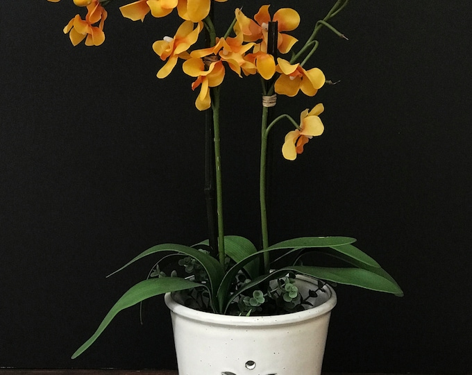 Waikiki (MEDIUM 5.5") Handmade Ceramic Orchid Pot With Attached Saucer, Orchid Planter, Glazed Pottery | Gift