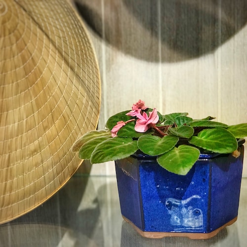Self Watering Hexagon Shape Ceramic Pot, African Violet Pot, Succulent Pot, Glazed Pottery, Beehive, Multi Color, Ceramic planter, Laid back