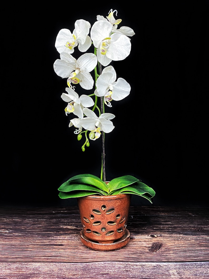 Waikiki MEDIUM 5.5 Handmade Ceramic Orchid Pot With Etsy