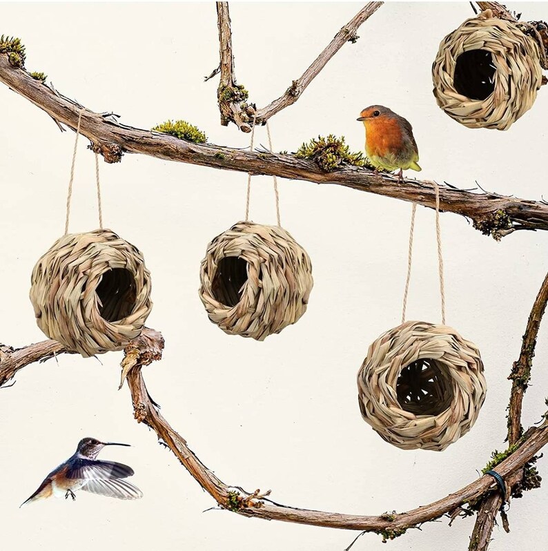 May include: Four brown woven bird nests hanging from tree branches. The nests are made of natural materials and have a round shape with a hole in the front.
