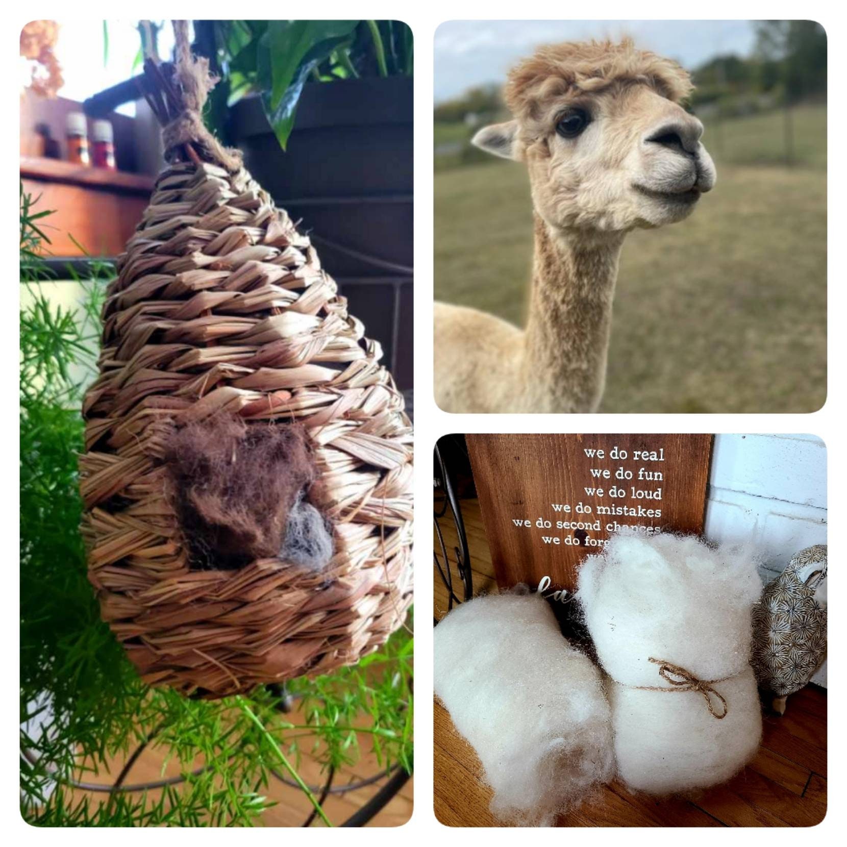 Alpaca Fleece Filled Wicker Bird House Bird Nesting Material Etsy