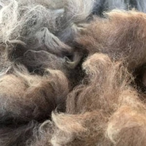 May include: A close-up of a pile of soft, fluffy, brown and gray wool fibers.