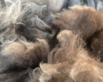 Raw alpaca fleece, 3 oz alpaca fleece to refill nesting balls & cages, Felting, Spinning, Yarn, Batting, Roving