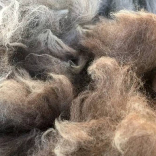 Raw alpaca fleece, 3 oz alpaca fleece to refill nesting balls & cages, Felting, Spinning, Yarn, Batting, Roving