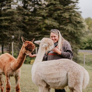 May include: A woman wearing a grey sweater and sunglasses smiles while petting a white alpaca. A brown alpaca stands nearby in a grassy field.