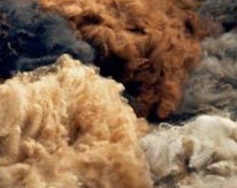 Raw unwashed alpaca fleece, 6 oz alpaca fleece to refill nesting balls & cages