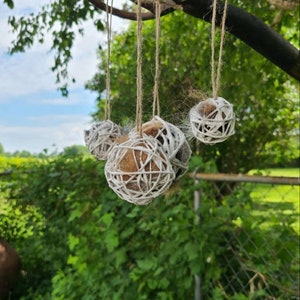 May include: Three white and brown woven balls hanging from a tree branch. The balls are made of natural materials and have a rustic look.