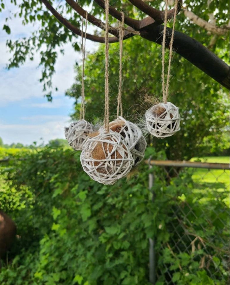 May include: Three white and brown woven balls hanging from a tree branch. The balls are made of natural materials and have a rustic look.