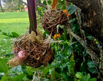 Grapevine bird nester & feeder,  Bird nest, Nesting supplies, Garden decor, Hummingbird