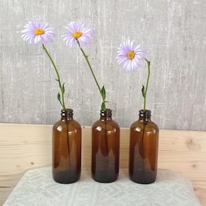 May include: Three amber glass bottles, each containing a single light purple daisy-like flower with a yellow centre. The bottles are cylindrical with short necks and rounded shoulders, standing in a row against a textured grey wall background.