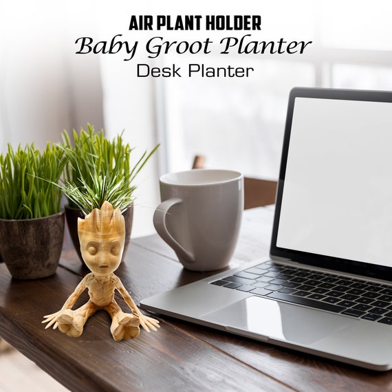Mini 2 Succulent Desk Buddy, Desk Plant Decor, Teacher Appreciation Gift