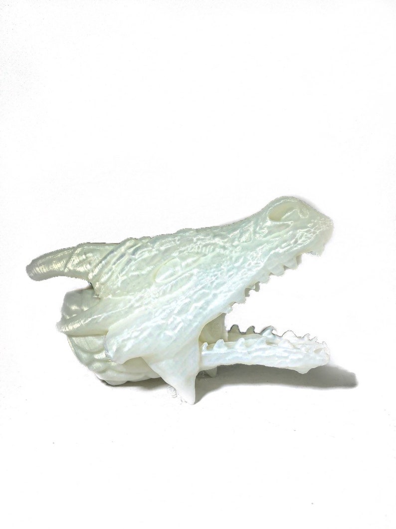 Dragon Shower Head Dragon Gifts Boys Bathroom Decor Etsy