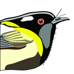 May include: Close-up of a bird's head with black, white, yellow and grey feathers. The bird has a red eye and a long, thin beak.