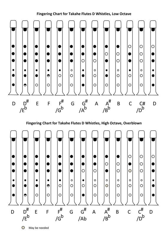 Tin Whistle Finger Chart Key Of D