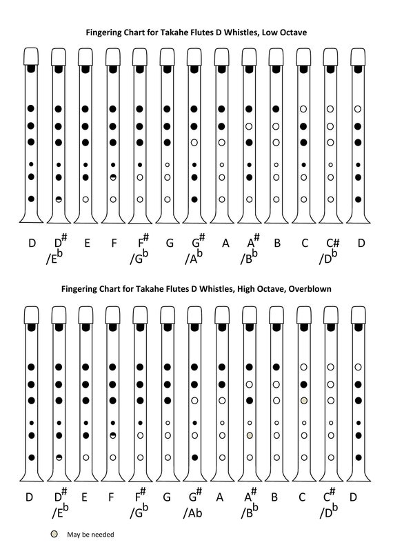 Tin Whistle Finger Chart Key Of D