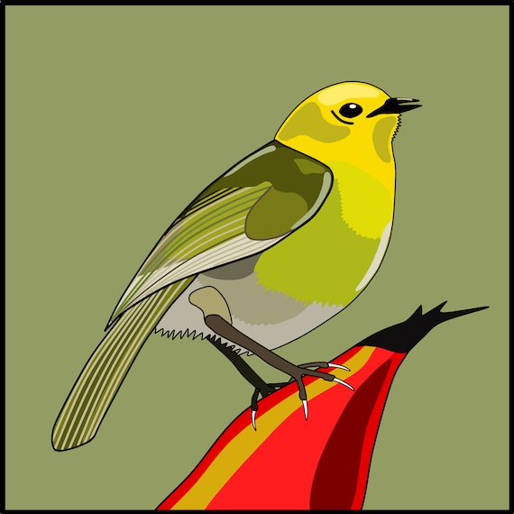 Mohua SP, Versatile Tunable Al High-C Penny Whistle, Handcrafted