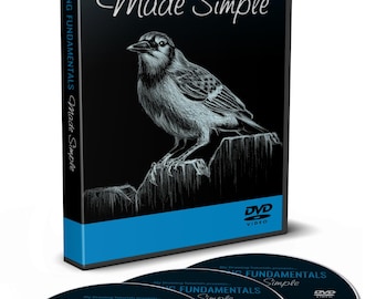 Learn to Draw DVD Course for Beginners | Drawing Fundamentals Art Lessons on 3 DVDs | Sketching, Shading & Perspective | Gift for Artists
