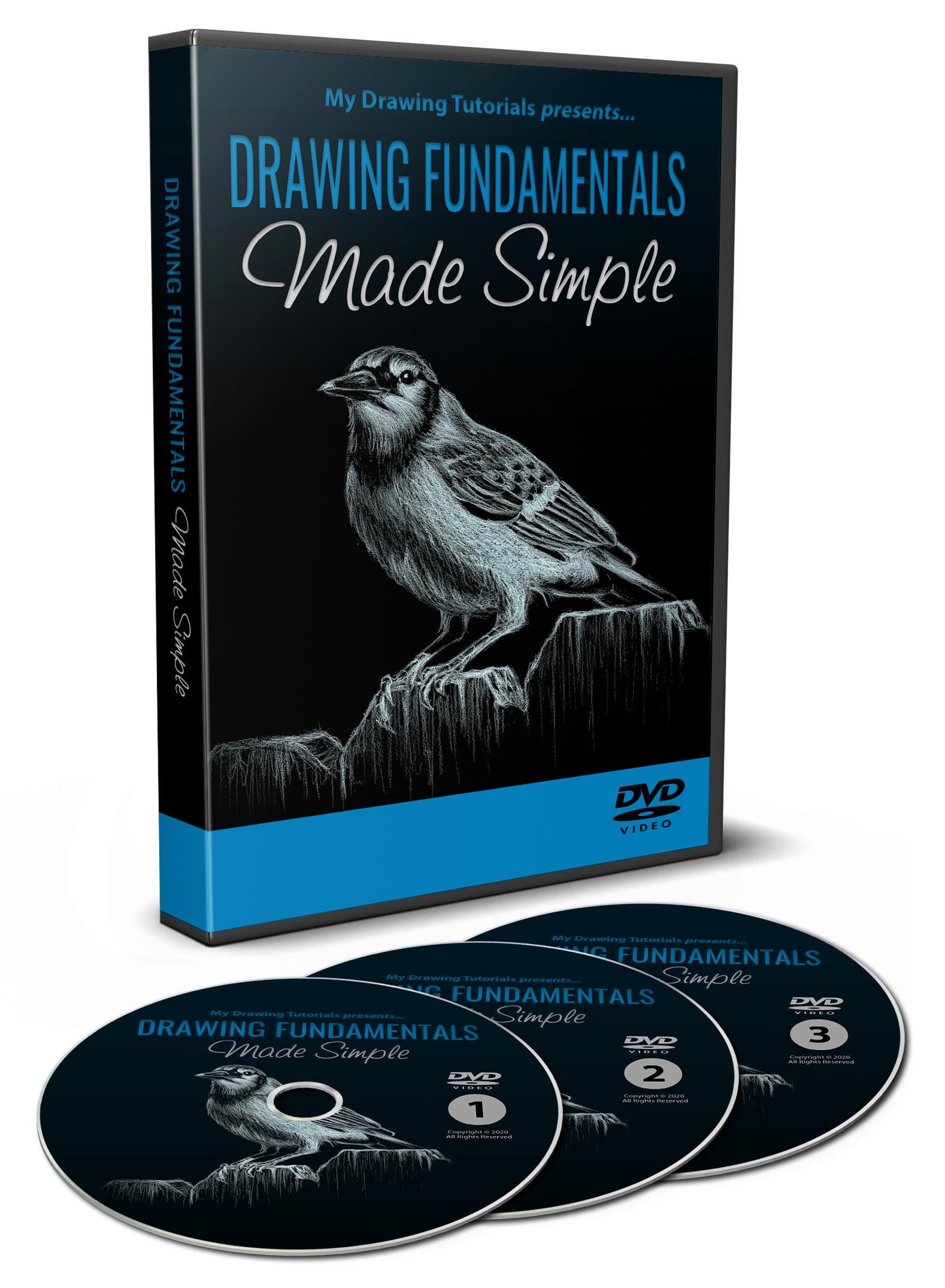 Learn to Draw DVD Course for Beginners Drawing Fundamentals Art Lessons on 3 DVDs Sketching, Shading & Perspective Gift for Artists