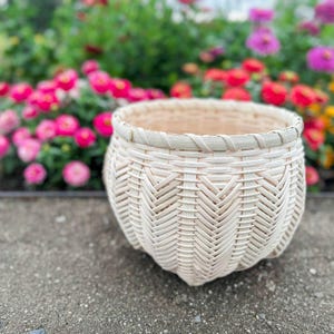 May include: A round, woven basket with a light beige color. The basket has a textured, chevron-like pattern on the sides and a braided rim. The background features a blurred garden with pink, red, and yellow flowers.