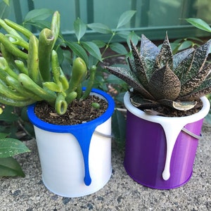 May include: Two small succulent plants in paint can pots. The left pot is white with a blue drip and the right pot is purple with a white drip.