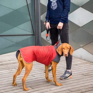 Dog Coat