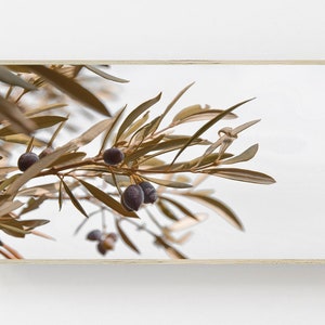 Olive Tree Print, Samsung Frame TV Art, Botanical Digital Art, Art for TV, Frame Art TV, Olive Art Tv, Olive Branch,Art Frame,Samsung Art Tv image 1