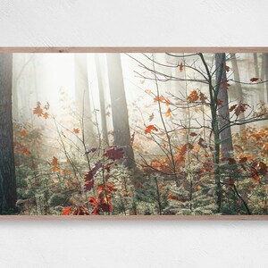 Samsung Frame TV Art, Autumn Trees Wall Art, Fall Leaves Decor, Frame TV Art, Samsung Art TV, Digital Download for Samsung, Autumn Art Print
