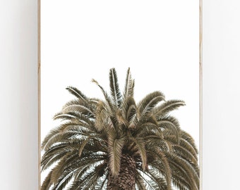 Tropical Palm Tree Print, Boho Beach Wall Art (Digital Download)