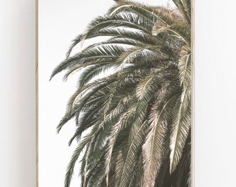 Palmbladafdruk, tropische bladerenafdruk, botanische afdruk, tropisch decor, hedendaagse kunst, groen blad, plant verlaat kunst aan de muur, palmafdrukken