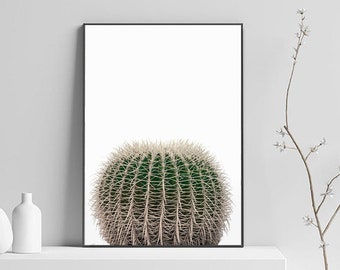 Cactus Print, Cacti Printable Art, Modern Minimalist Poster, Desert Print, Printable Wall Art, Botanical Print, Southwest Arizona Poster