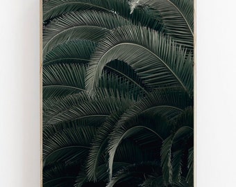 Palmbladafdruk, tropische bladerenafdruk, botanische afdruk, tropisch decor, hedendaagse kunst, groen blad, plant verlaat kunst aan de muur, palmafdrukken