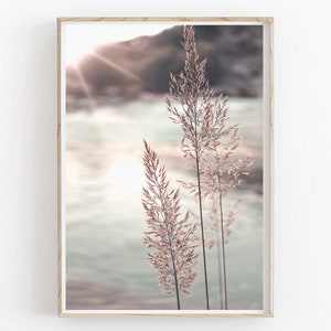 Impressão de praia, arte costeira para impressão, impressão de grama seca, pôster minimalista moderno, decoração boho, decoração de parede para impressão, impressão neutra, grama dos pampas