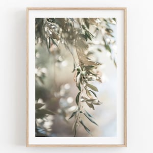 Olivenzweig Druck, Botanische Kunst, Santorini Druck, Modernes minimalistisches Poster, Pastell druckbare Kunst, mediterrane Wandkunst,Griechenland Wandkunst