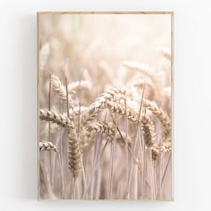 Impression de champ de blé, décoration de ferme, impression d&#39;art beige, ferme imprimable, art de cuisine rustique, art botanique, champ de blé de campagne, impression de plante séchée